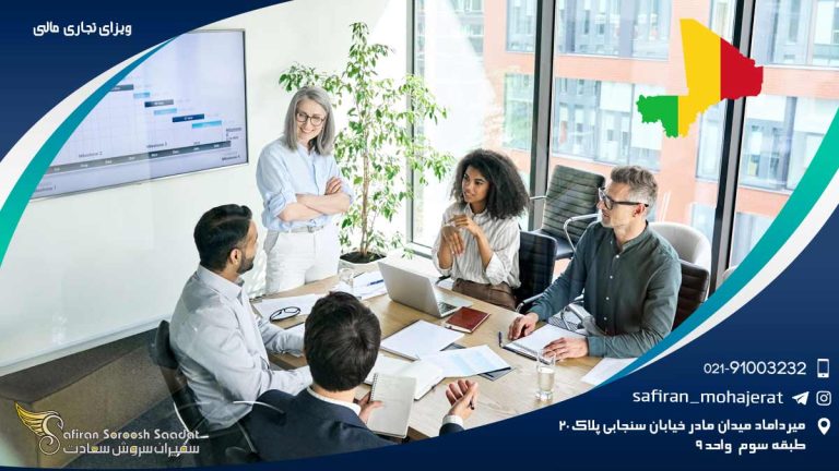 ویزای تجاری مالی
