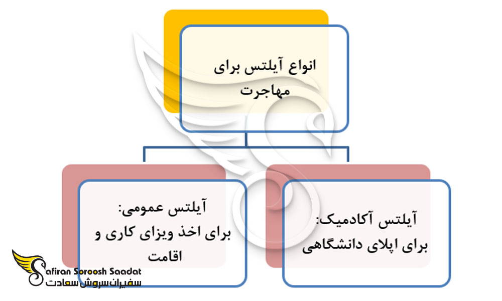 انواع آیلتس برای مهاجرت