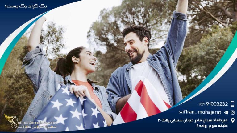 بک گراند چک چیست؟