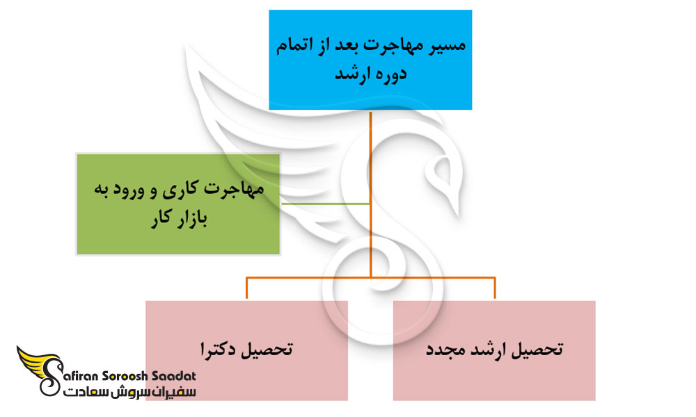 مسیر مهاجرت بعد از اتمام دوره ارشد