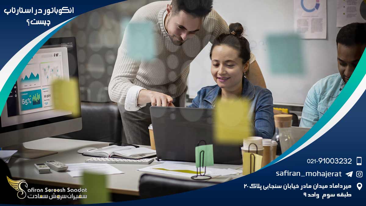 انکوباتور در استارتاپ