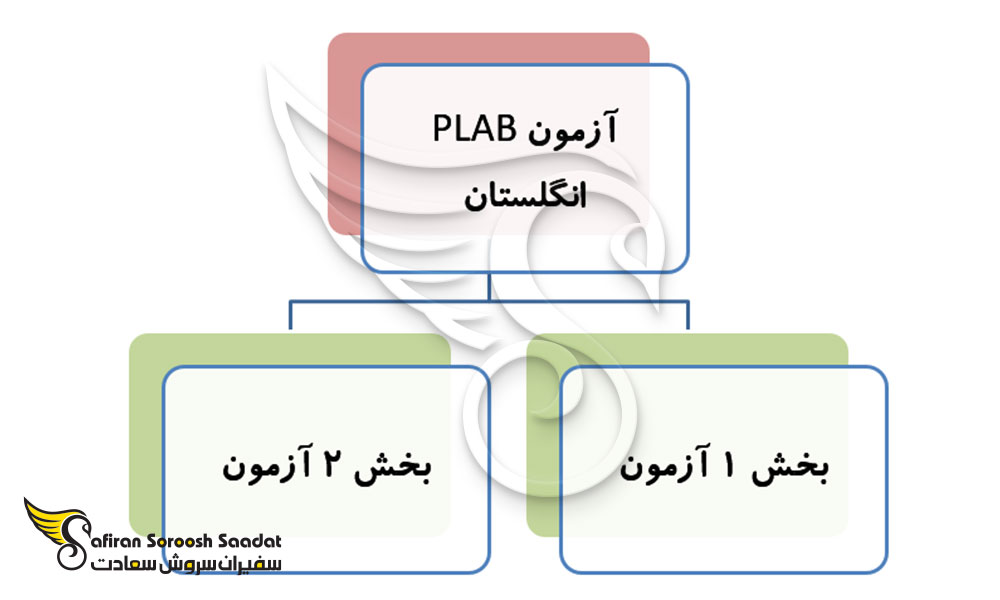 ساختار آزمون PLAB انگلستان