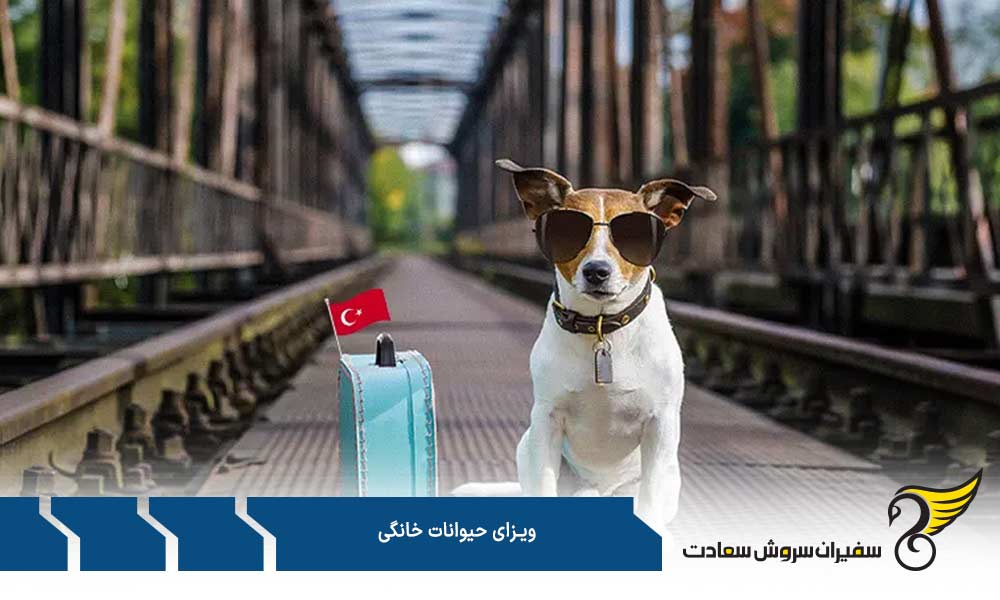مدارک اصلی مورد نیاز برای اخذ ویزای حیوانات خانگی