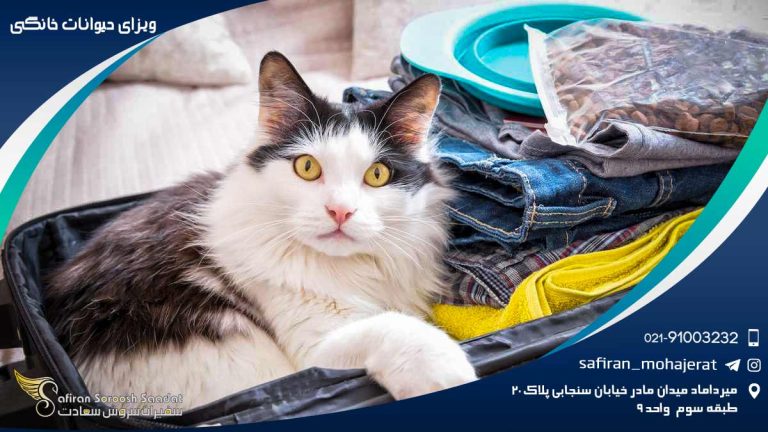 ویزای حیوانات خانگی