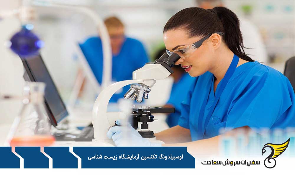 محتوای آموزش در آوسبیلدونگ تکنسین آزمایشگاه زیست شناسی