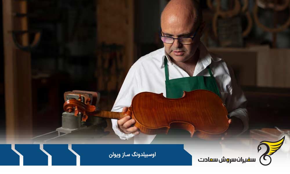 مشخصات آوسبیلدونگ ساز ویولن