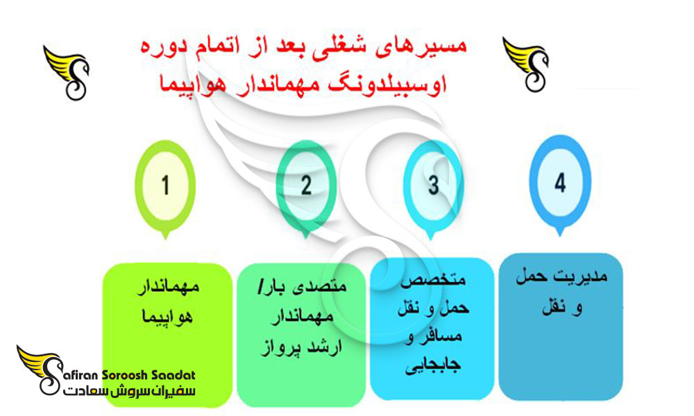 پس از اتمام دوره آوسبیلدونگ مهماندار هواپیما