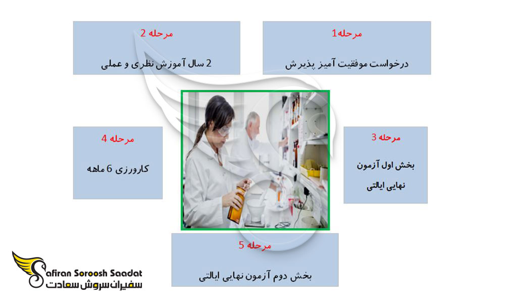 فرایند آموزش آوسبیلدونگ داروسازی