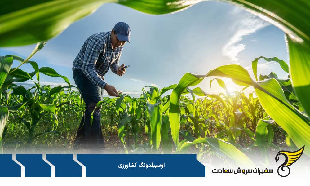 شرایط پذیرش از دوره آوسبیلدونگ کشاورزی