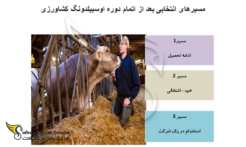 پس از اتمام دوره آوسبیلدونگ کشاورزی
