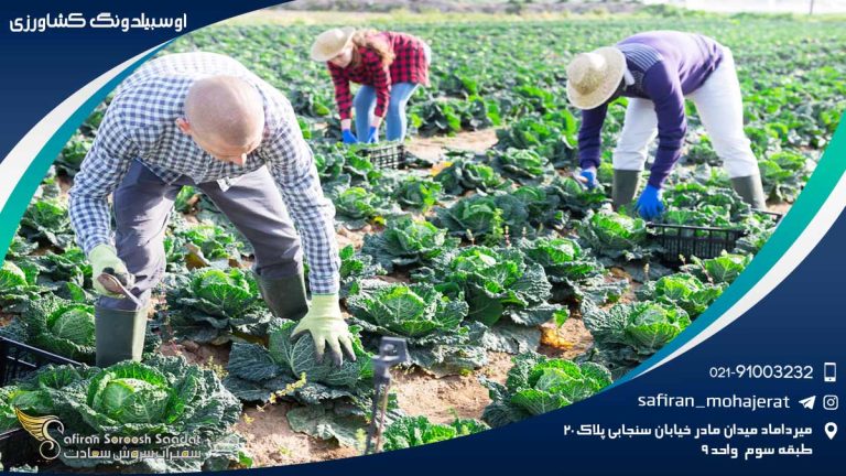 آوسبیلدونگ کشاورزی
