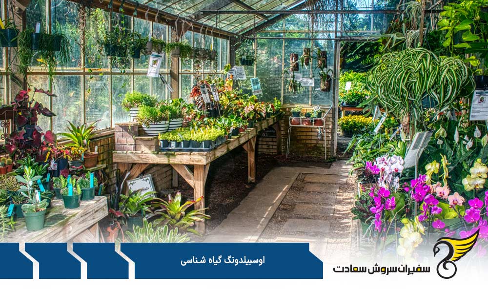 مزایای شرکت در آوسبیلدونگ گیاه شناسی