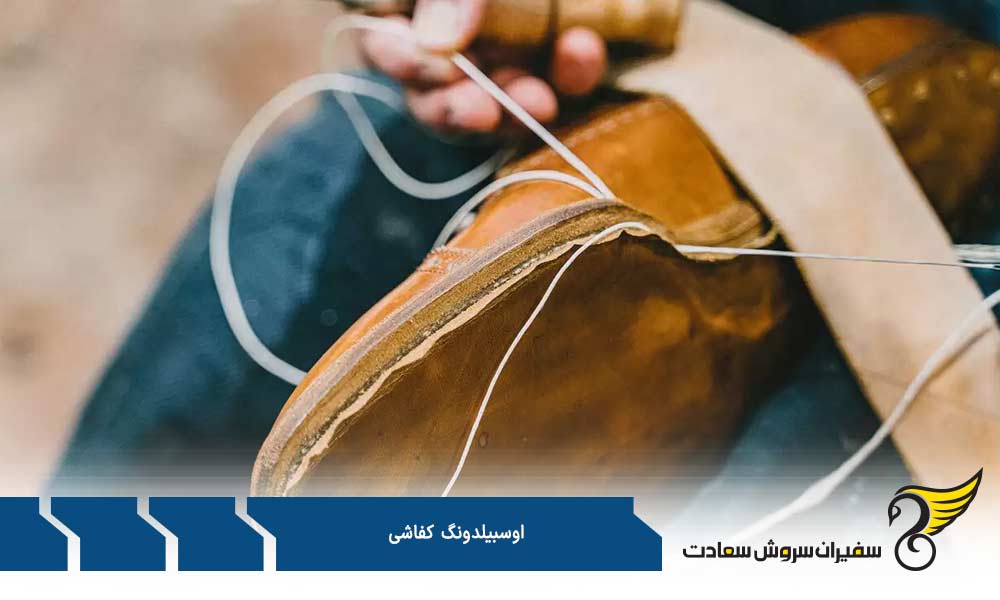 مسیر مهاجرتی از طریق آوسبیلدونگ کفاشی