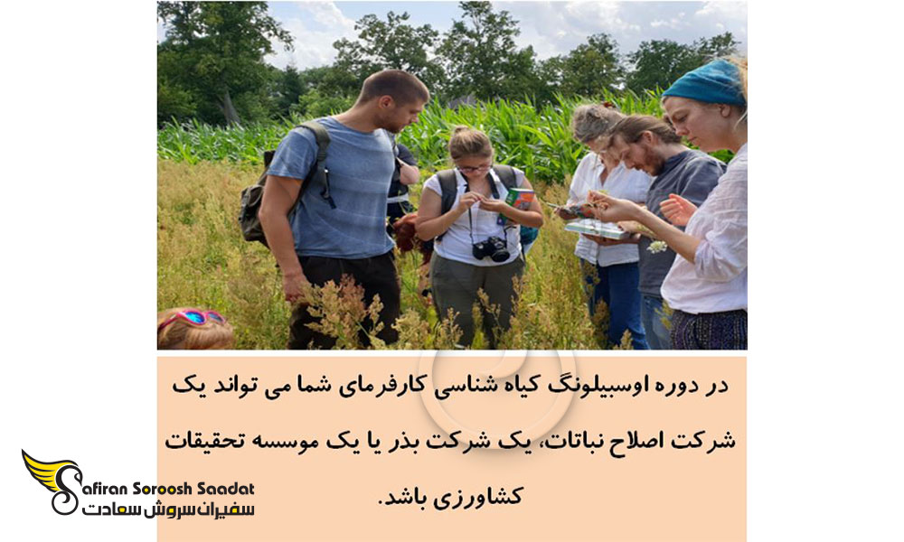 وظایف شما به عنوان کارآموز آوسبیلدونگ گیاه شناسی